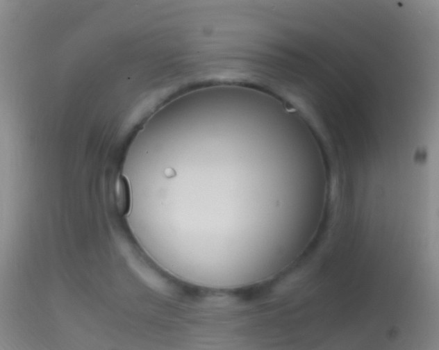 X0000114390397200910161037