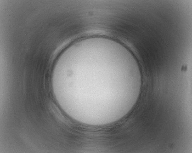 X0000114390399200910161037