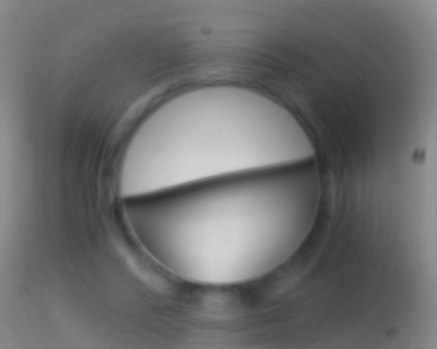 X0000114390400200910161037