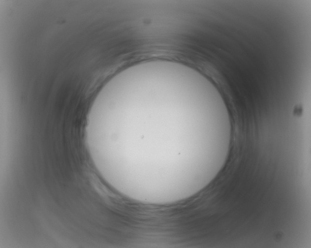X0000114390401200910161037