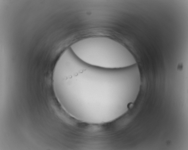 X0000114390402200910161037