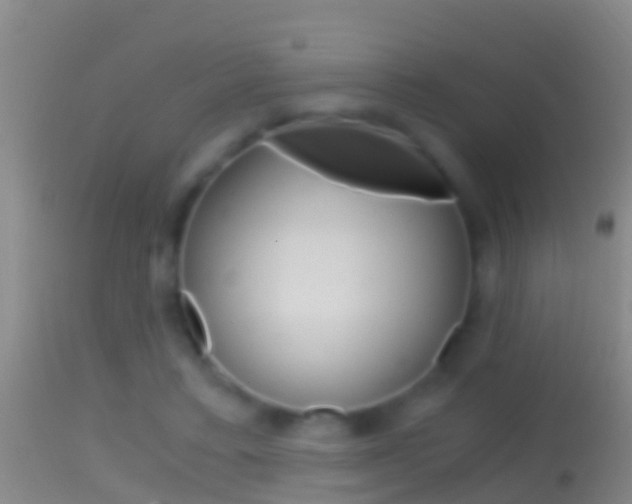 X0000114390403200910161037