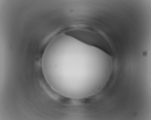 X0000114390405200910161037