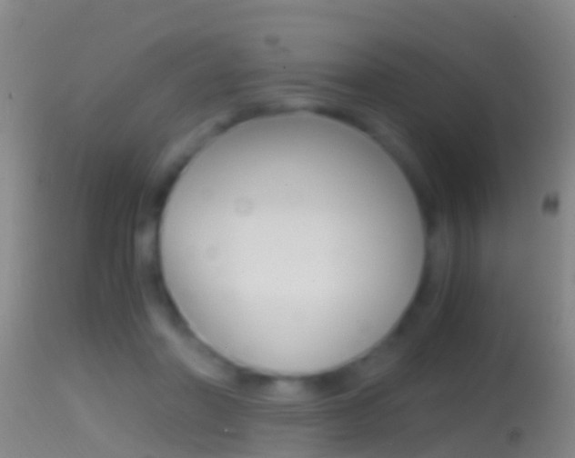 X0000114390406200910161037