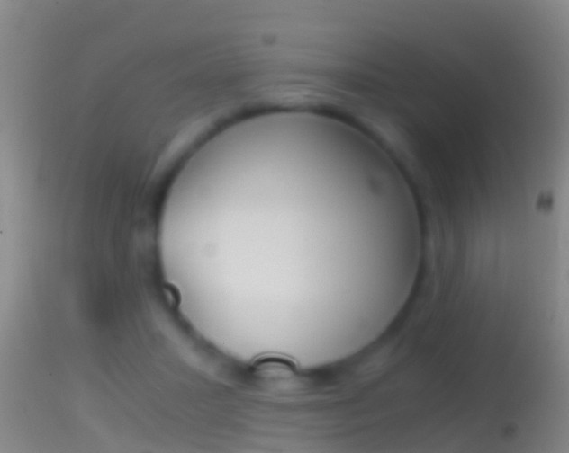 X0000114390407200910161037