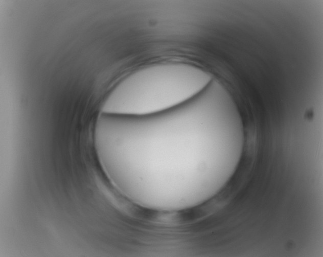 X0000114390410200910161037