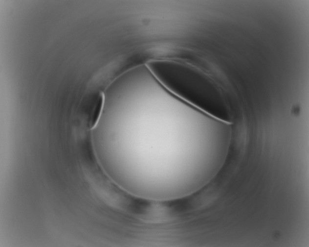 X0000114390413200910161037