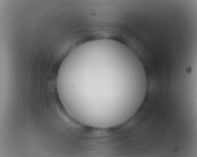 X0000114390414200910161037