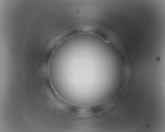 X0000114390415200910161037