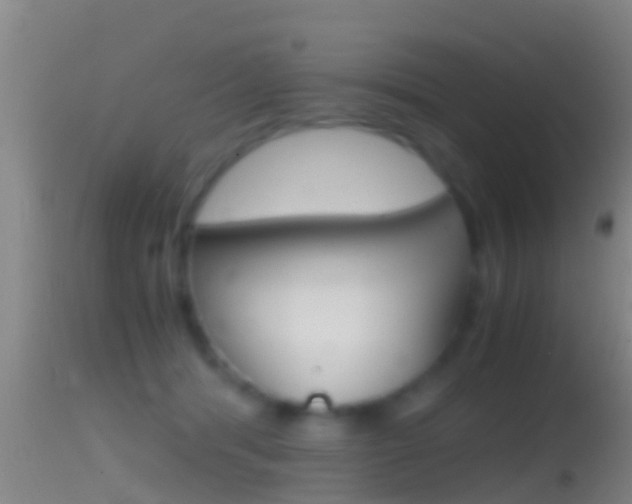 X0000114390416200910161037
