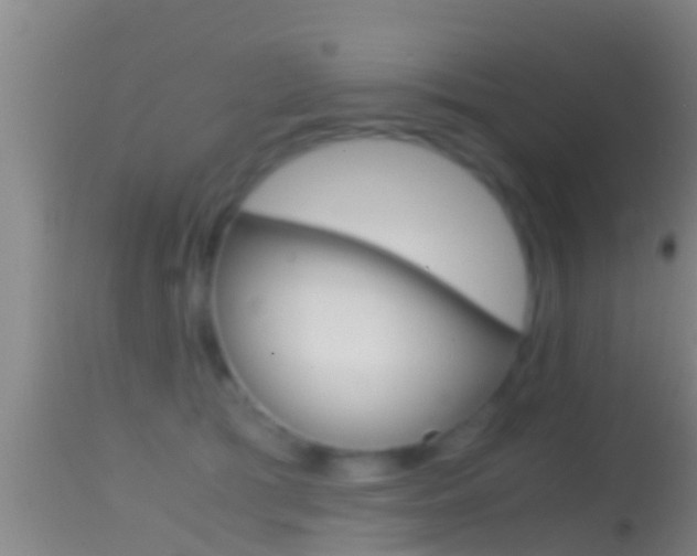 X0000114390417200910161037