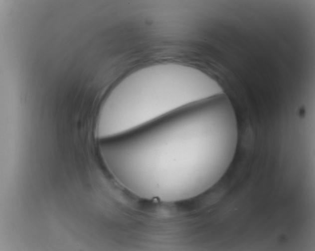 X0000114390420200910161036