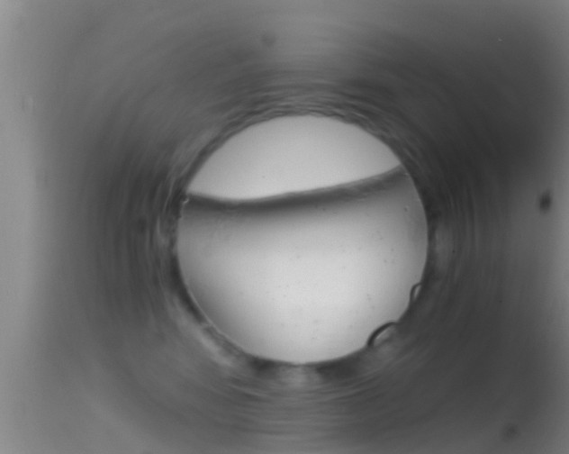 X0000114390424200910161036