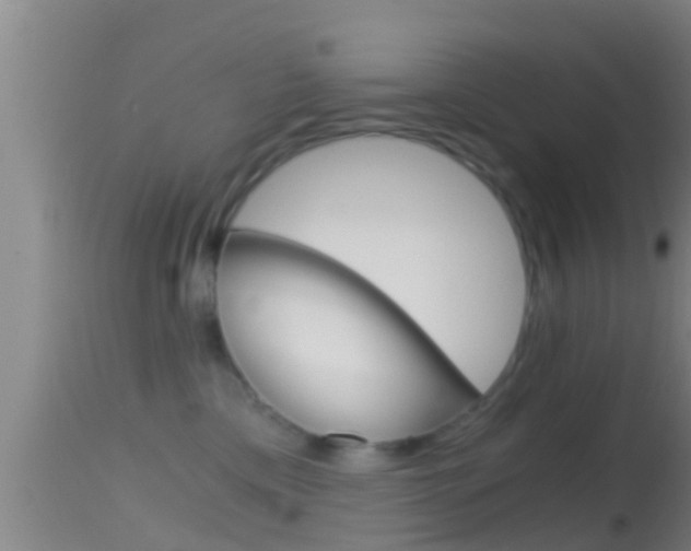 X0000114390425200910161036