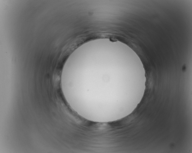 X0000114390427200910161036
