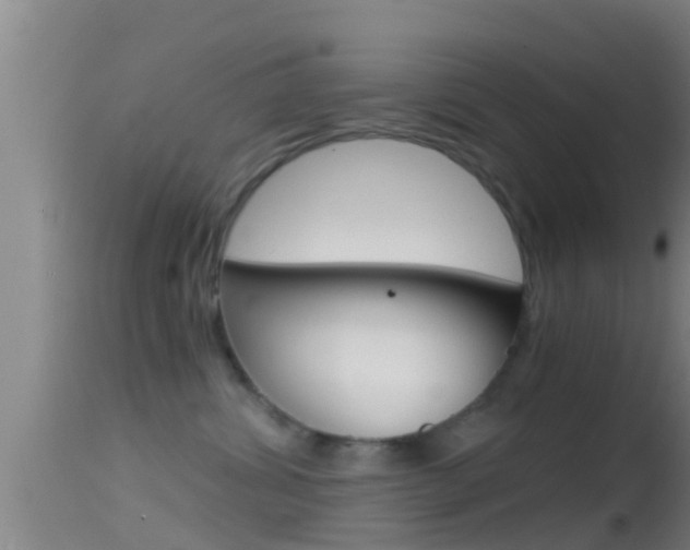 X0000114390428200910161036
