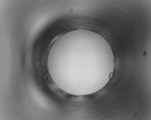 X0000114390430200910161036