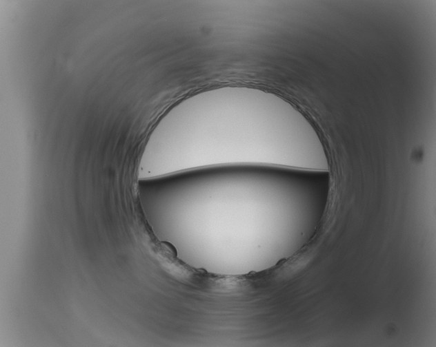 X0000114390432200910161036