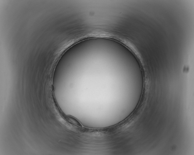 X0000114390433200910161035