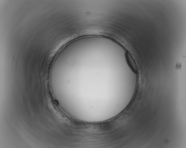 X0000114390434200910161035