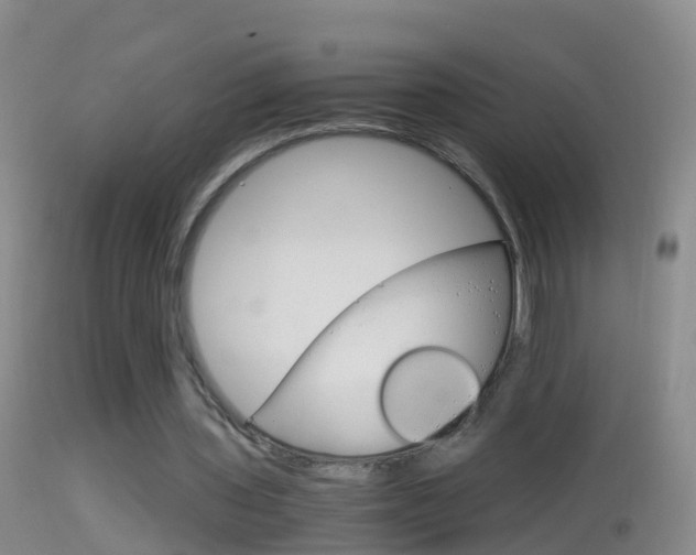 X0000114390435200910161036