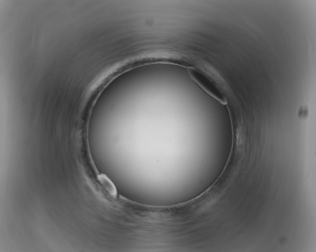 X0000114390436200910161036