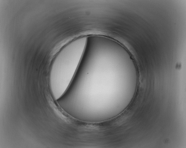 X0000114390437200910161036