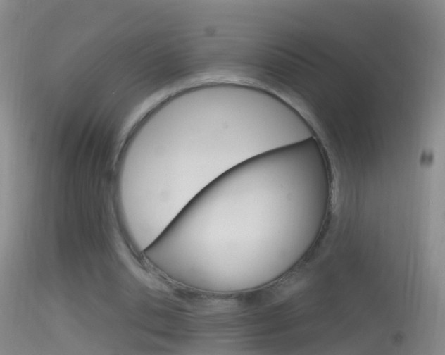 X0000114390438200910161036