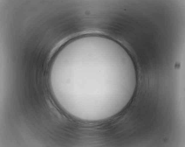 X0000114390440200910161036