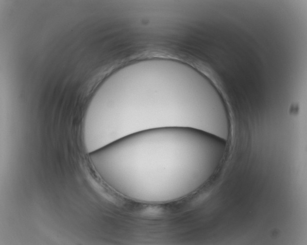 X0000114390441200910161036