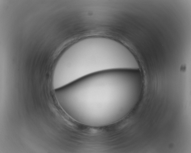 X0000114390442200910161036