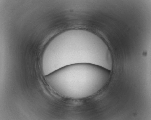 X0000114390443200910161036