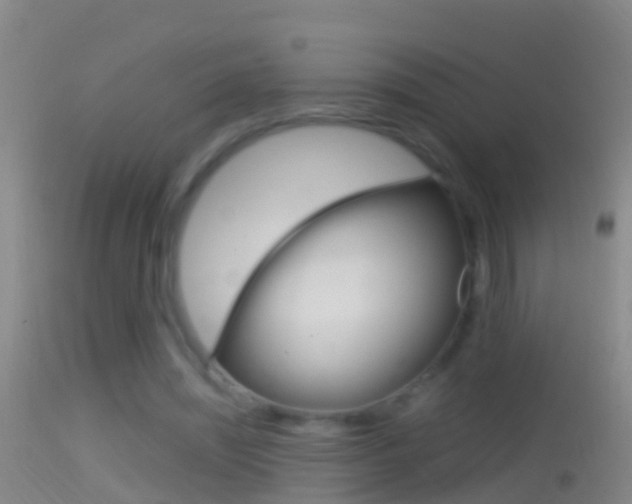 X0000114390444200910161036