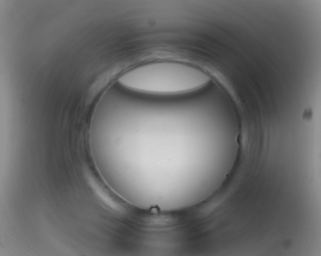 X0000114390445200910161036