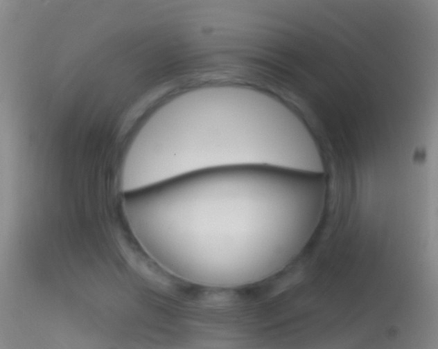 X0000114390446200910161036