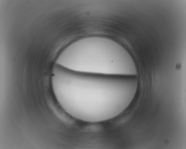 X0000114390447200910161036