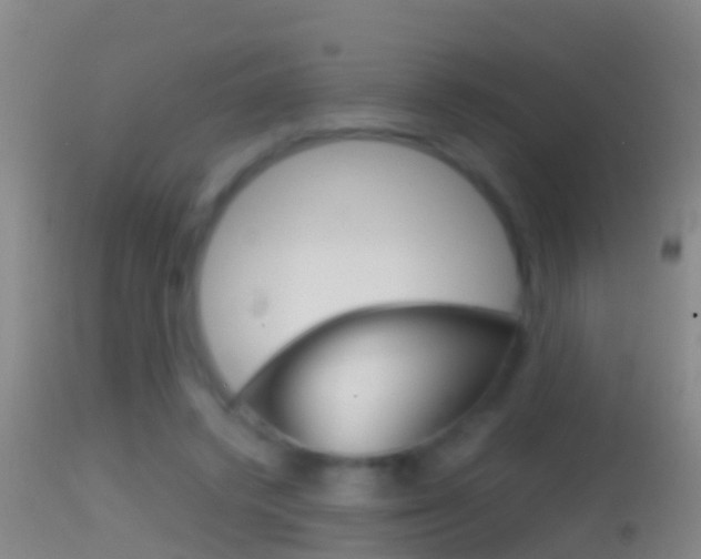 X0000114390448200910161036
