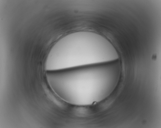 X0000114390449200910161036