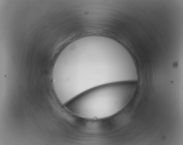 X0000114390450200910161036