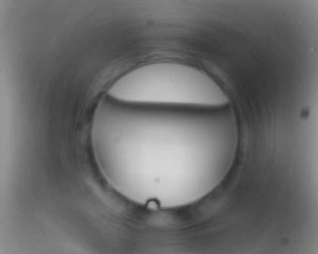 X0000114390451200910161036