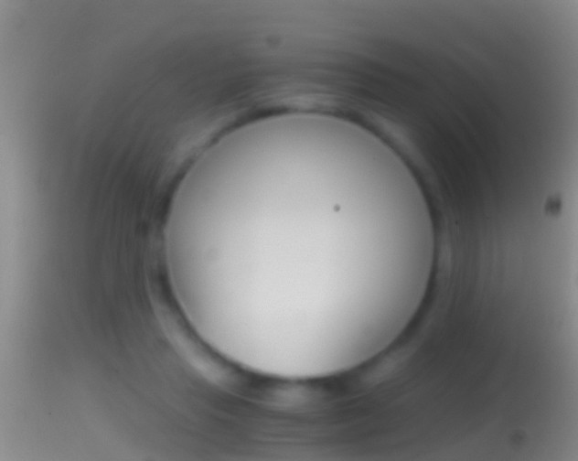 X0000114390453200910161036