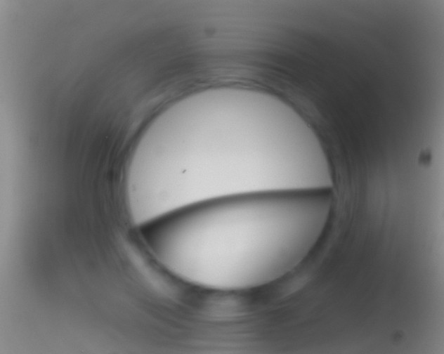 X0000114390454200910161036
