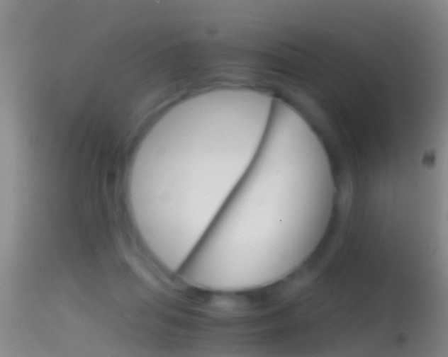 X0000114390455200910161036