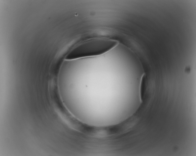 X0000114390456200910161036