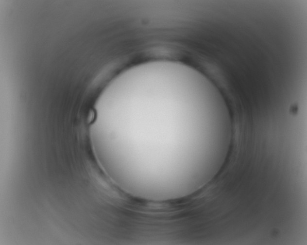 X0000114390457200910161036