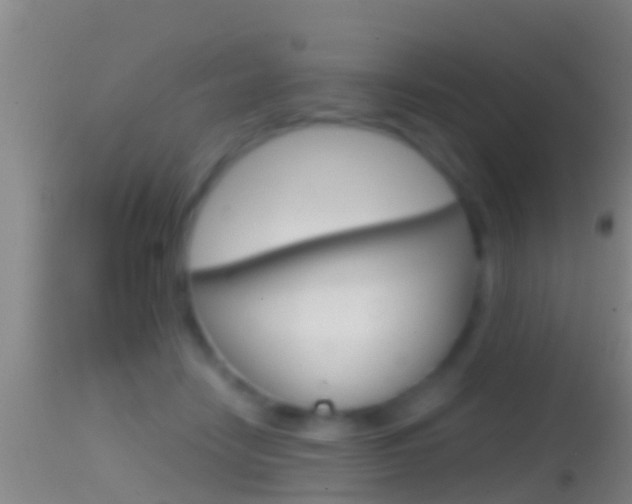 X0000114390458200910161036