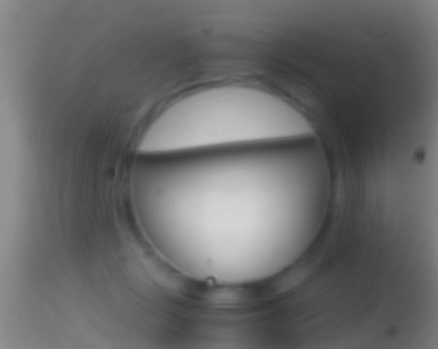 X0000114390461200910161036