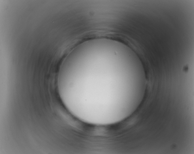 X0000114390462200910161036