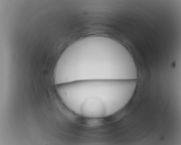 X0000114390465200910161036