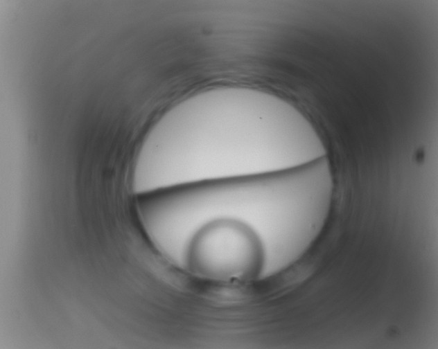 X0000114390466200910161036